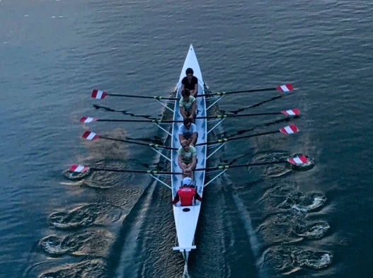 For Businesses & Teams